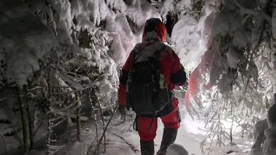 поиск пропавших, фото - Новости Zakon.kz от 01.01.2026 00:40