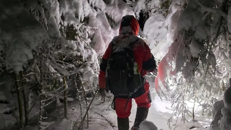 Собаки спасли жизнь потерявшимся в морозном лесу россиянам прямо перед Новым годом