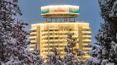 деревья, вывеска, Алматы, фото - Новости Zakon.kz от 31.12.2025 12:34