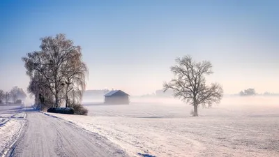 штормовое предупреждение, фото - Новости Zakon.kz от 31.12.2025 20:02