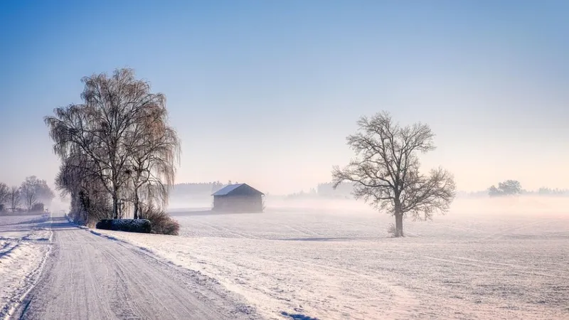 Туман, метель и гололед: какие регионы РК затронет штормовое предупреждение 1 января