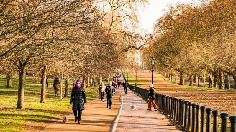 Почему в Лондоне закрыли парки на Новый год