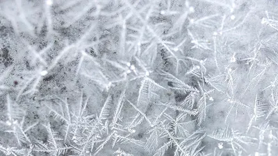 мороз, зима, погода, Земля, фото - Новости Zakon.kz от 02.01.2026 18:14