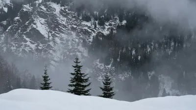 прогноз погоды на неделю, фото - Новости Zakon.kz от 02.01.2026 19:00