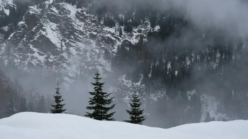 Дождь со снегом и мороз: погода в Алматы на неделю