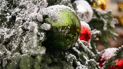 В Польше загорелась новогодняя елка, фото - Новости Zakon.kz от 03.01.2026 02:27