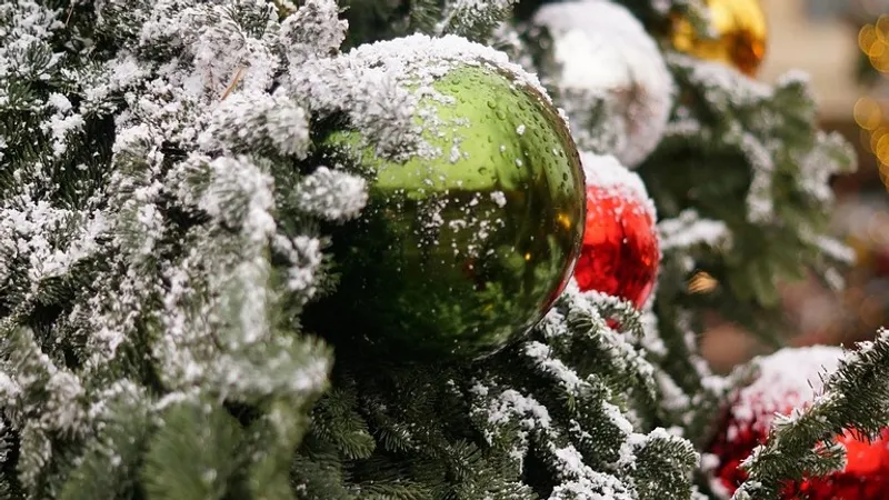 Главная елка Польши загорелась в новогоднюю ночь возле Королевского замка