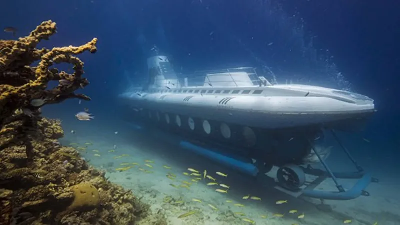 В Египте приговорили капитана затонувшего вместе с детьми батискафа "Синдбад"