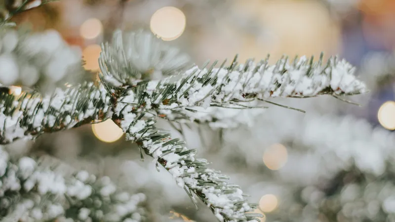 Потепление, дожди, снег: обновленный прогноз по Астане, Алматы и Шымкенту на 4-6 января