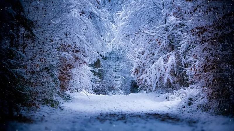 Туман, метель и гололед: штормовое предупреждение объявили в Казахстане на среду