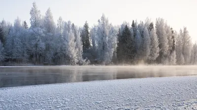 Рейд против браконьеров закончился ЧП: квадроцикл с инспекторами провалился под лед на Урале