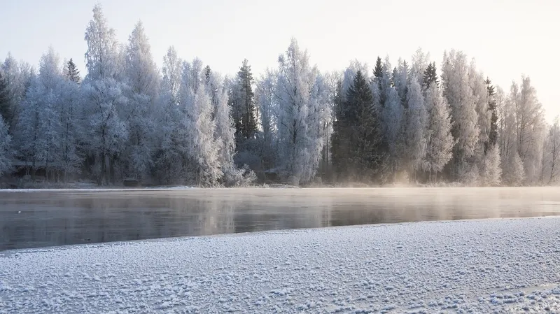 Рейд против браконьеров закончился ЧП: квадроцикл с инспекторами провалился под лед на Урале