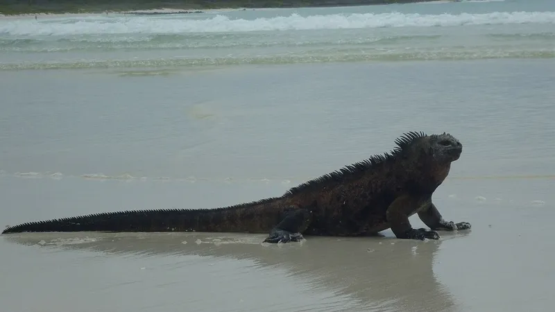 Устрашающие океанические "годзилы" завораживают ученых