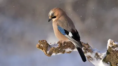 Гороскоп на 9 января, фото - Новости Zakon.kz от 09.01.2026 07:51