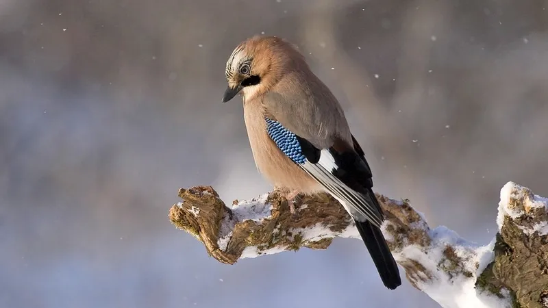 Гороскоп на 9 января: пересмотрите планы