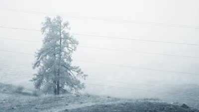 штормовое предупреждение, фото - Новости Zakon.kz от 08.01.2026 20:22