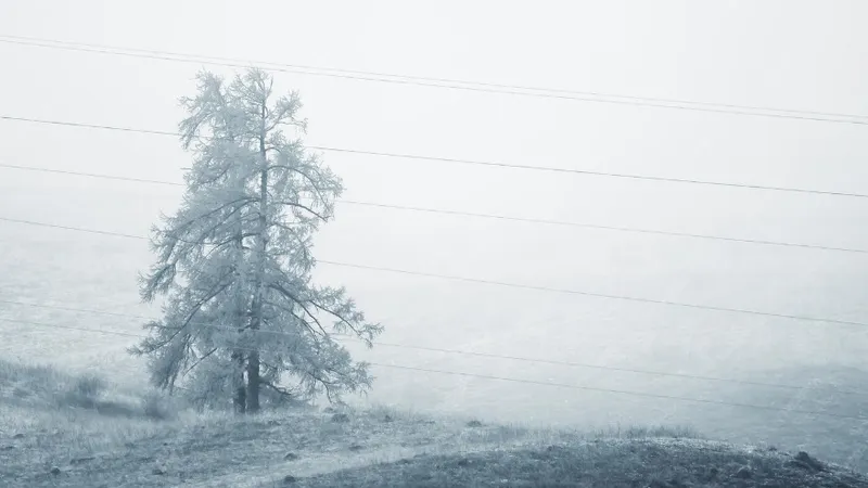 Туман и низовая метель: на пятницу в Казахстане объявили штормовое предупреждение
