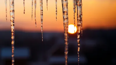 ледяные сосульки, солнце, фото - Новости Zakon.kz от 08.01.2026 11:50
