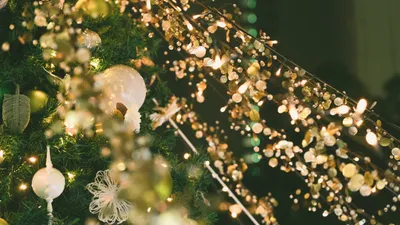 елка, елочные игрушки, гирлянды, фото - Новости Zakon.kz от 08.01.2026 15:29