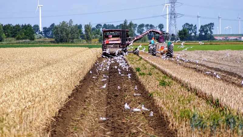 Масштабная блокада: фермеры вышли на протесты в Греции