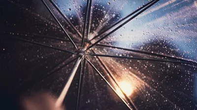 зонтик, капли дождя, фото - Новости Zakon.kz от 09.01.2026 17:03