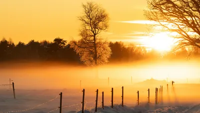 , фото - Новости Zakon.kz от 12.01.2026 18:04