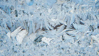 мороз, фото - Новости Zakon.kz от 12.01.2026 10:27