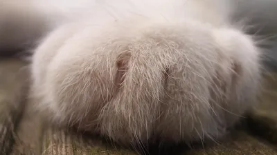 , фото - Новости Zakon.kz от 23.01.2026 11:23