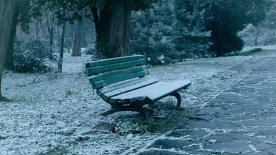 , фото - Новости Zakon.kz от 14.01.2026 10:05