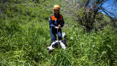 Более 300 детей разыскивали в Западном Казахстане в 2025 году, фото - Новости Zakon.kz от 13.01.2026 18:50