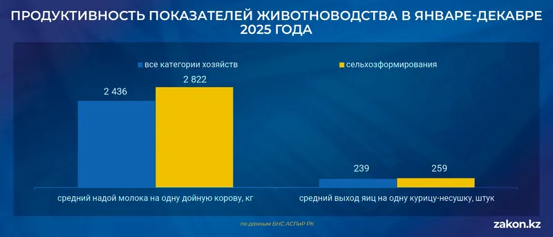 животноводство, фото - Новости Zakon.kz от 13.01.2026 16:22