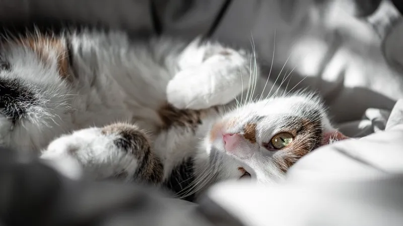 Врач назвал неочевидный способ улучшить сон