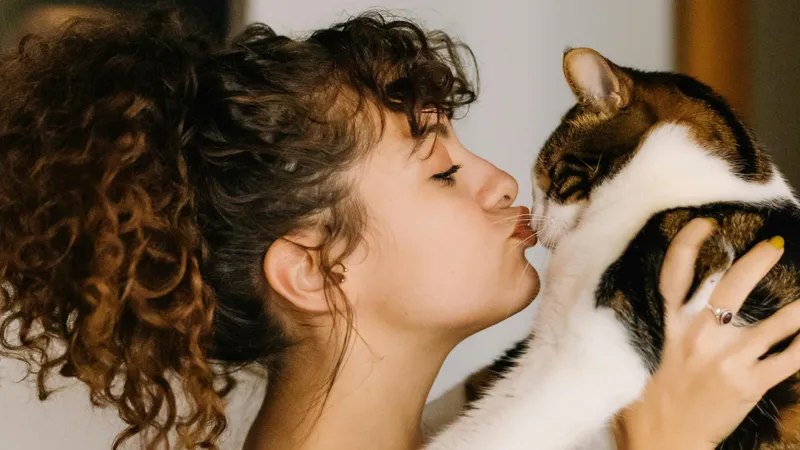 Зоопсихологи рассказали, куда можно целовать кошку