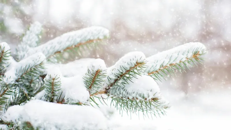 От -20°С до +15°С: неожиданные перепады и мокрый снег ждут Астану, Алматы и Шымкент в феврале