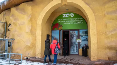 Зоопарк в Алматы , фото - Новости Zakon.kz от 15.01.2026 15:16
