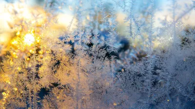 , фото - Новости Zakon.kz от 15.01.2026 17:04