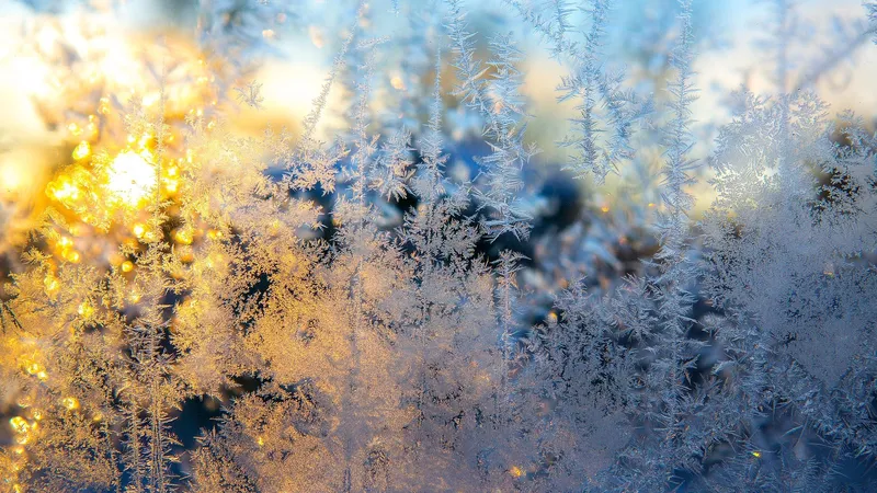 Экстремальные морозы до -32°С в Астане, снегопад в Алматы, а Шымкент спасет тепло: прогноз на три дня