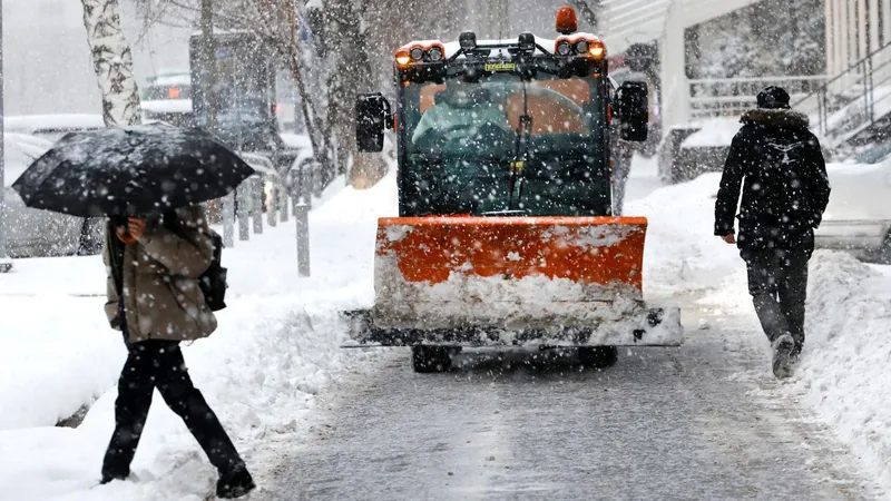 К алматинцам с небольшим стажем вождения обратились с просьбой