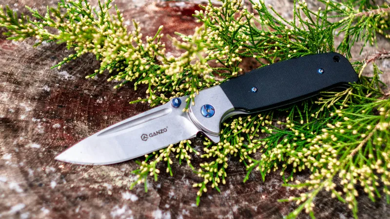 69-летняя мать ударила дочь ножом из-за денег