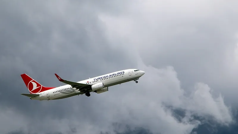 Появилась информация касательно "взрыва на борту" Turkish Airlines