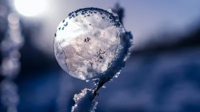 штормовое предупреждение, фото - Новости Zakon.kz от 16.01.2026 20:12