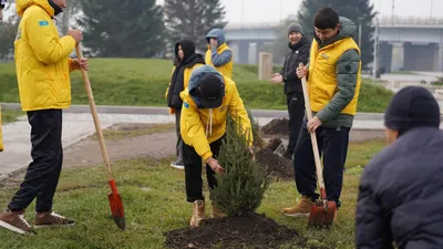 "Таза Қазақстан": итоги 2025 года в ВКО, фото - Новости Zakon.kz от 16.01.2026 13:17