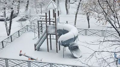 зимний снегопад, фото - Новости Zakon.kz от 17.01.2026 15:05