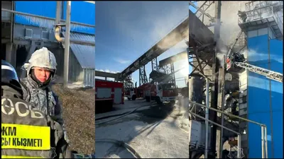 Семечки загорелись, фото - Новости Zakon.kz от 17.01.2026 16:39