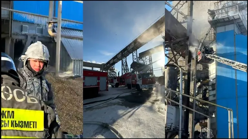 Семечки стали причиной сильного пожара на элеваторе в Костанае