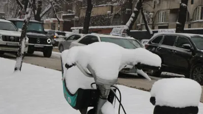 зима, фото - Новости Zakon.kz от 17.01.2026 17:00