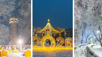 фотограф показал сказочные кадры зимы в Алматы, фото - Новости Zakon.kz от 18.01.2026 21:32