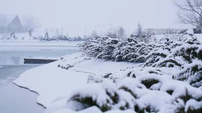 снег, дом, фото - Новости Zakon.kz от 19.01.2026 16:37