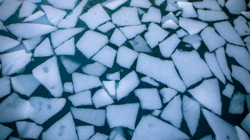 Когда природа сильнее ИИ: что на самом деле произошло на реке Есентай в Алматы