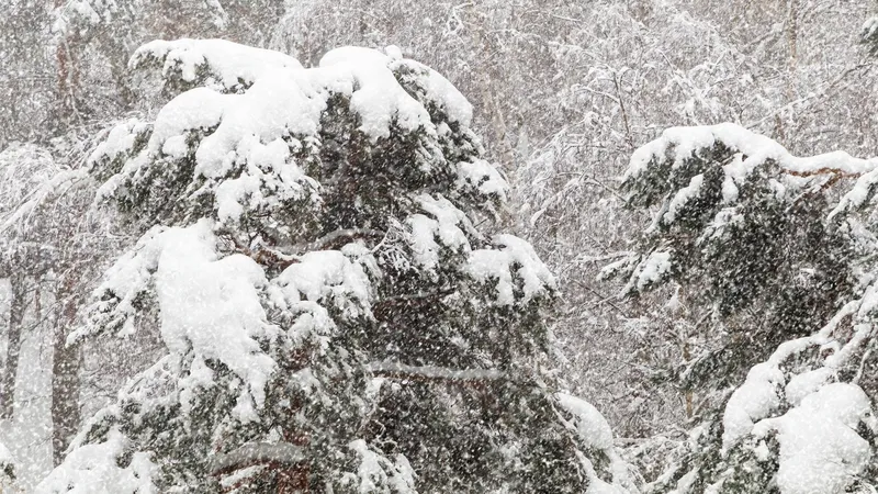 Алматы вновь накроет снегопад, Астану – сильные морозы, а Шымкент – дожди и тепло: прогноз на 20-22 января